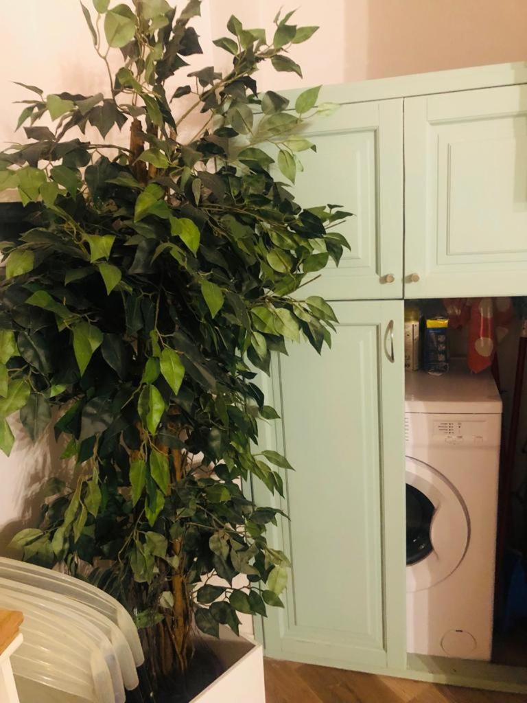 Charme Holidays Trastevere Рим Екстер'єр фото
